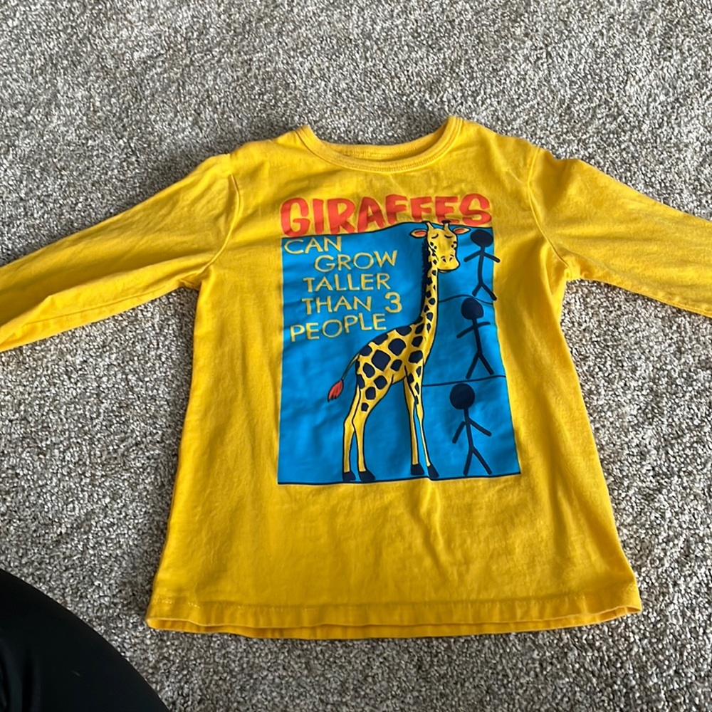 Children’s Place long sleeve shirt 4t-boys
